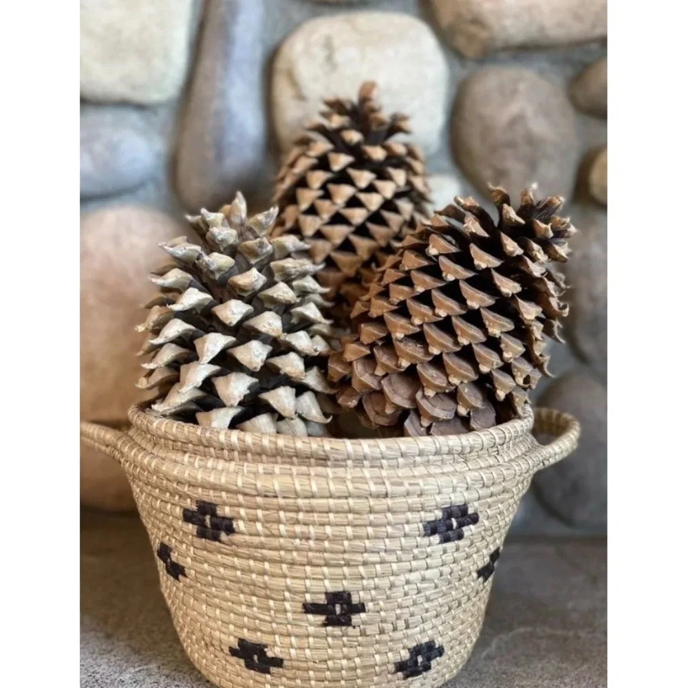 Natural Pine Cones Collection Rustic Woodland Decor Crafting Supplies 7-10 inchs